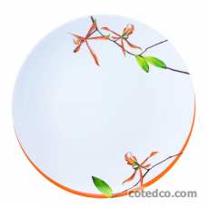 Assiette dessert 220mm