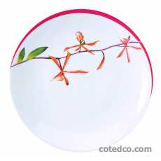 Assiette plate 265mm