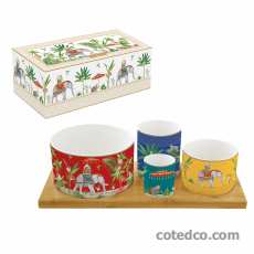 Set 4 bols + plateau bambou
