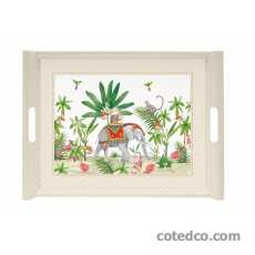 Plateau 52x37cm en Acrylique