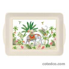 Plateau 46x32cm en Acrylique