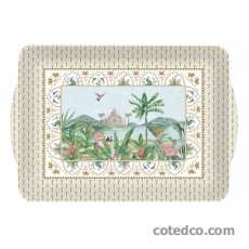 Plateau 46x32cm en Acrylique