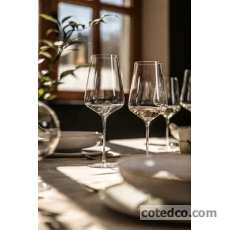 Coffret 2 Verres à pied 739ml & 239mm ( Grand Bougogne)