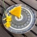 La collection Fleur de Nuit - Philippe Deshoulières