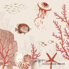 Plateau 46x32cm en Acrylique