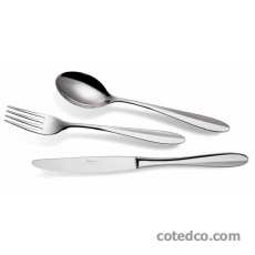 Ménagère 113 pièces + ecrin