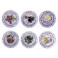 Coffret de 4 Assiettes canapés fruits - diam. 16,5 cm