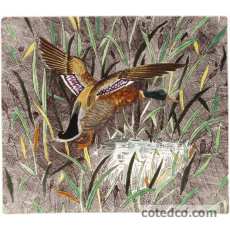 Coffret de 1 coupe carrée Canard - 29,5x26,5 cm