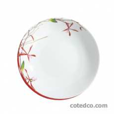 Assiette creuse calotte 190mm