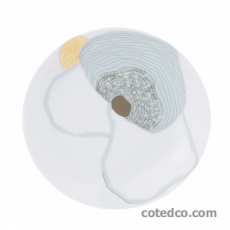 Assiette à pain 155mm